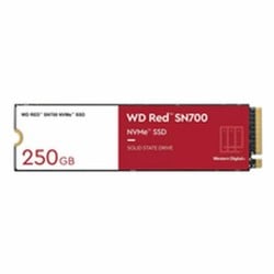 Disque dur Western Digital WD Red SN700 250 GB SSD