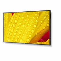 Moniteur Videowall NEC 60005062 LED 4K Ultra HD 65" 64"