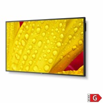 Moniteur Videowall NEC 60005062 LED 4K Ultra HD 65" 64"