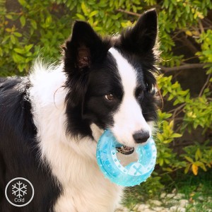 Jouet à Mordre 2 en 1 Congelable pour Animaux de Compagnie Glubiz InnovaGoods