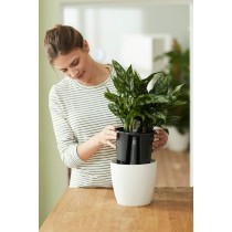 Self-watering flowerpot Elho Insert 28 Black Plastic 27,7 x 27,7 x 25,5 cm