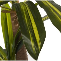 Plante décorative Alexandra House Living Brazil Plastique Dracaena 130 cm