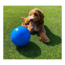 Jouet pour chien Company of Animals Boomer Bleu (100mm)