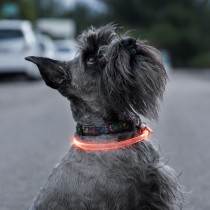 LED-Halsband für Haustiere Petlux InnovaGoods