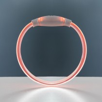 LED-Halsband für Haustiere Petlux InnovaGoods