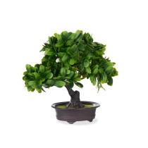 Dekorationspflanze Bonsai Kunststoff 27 x 28 x 14 cm (8 Stück)