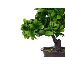 Dekorationspflanze Bonsai Kunststoff 27 x 28 x 14 cm (8 Stück)