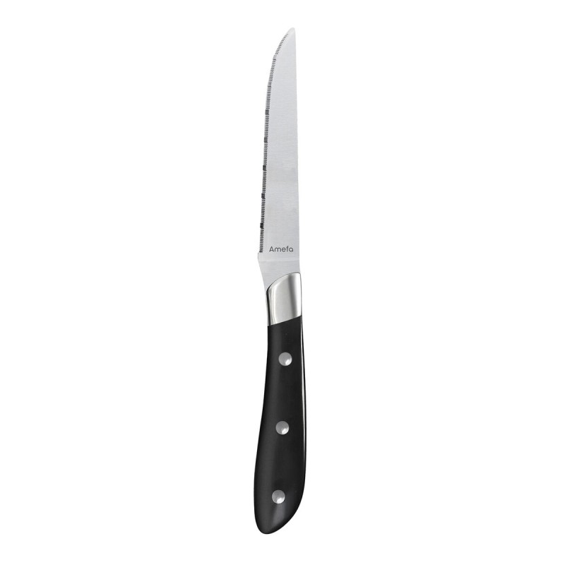 Steakmesser-Set Amefa Achille Metall 23 x 2,4 x 1,5 cm 6 Stück