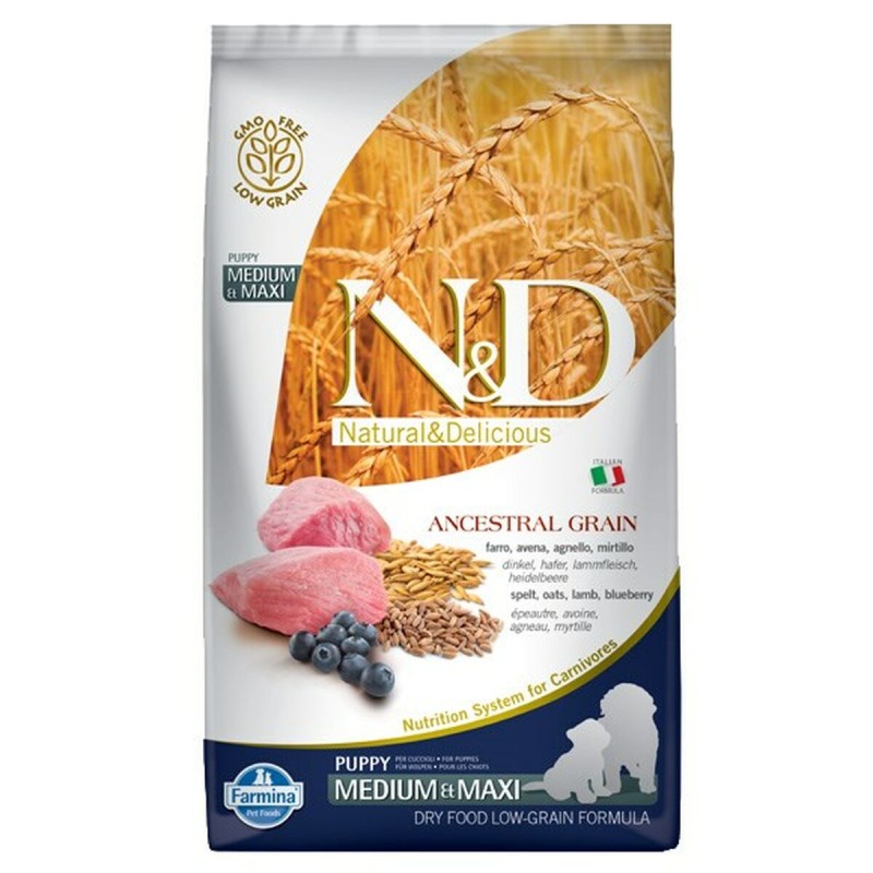 Fodder Farmina Grain Puppy Medium&Maxi Lamb Lamb 12 kg