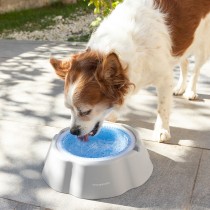 Kühlender Trinknapf für Haustiere Freshty InnovaGoods