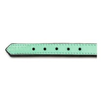 Dog collar Gloria Padded Green (45 x 2 cm)