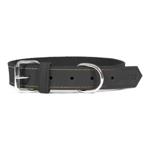 Hundehalsband Gloria Oasis Schwarz 60 cm (60 x 3 cm)