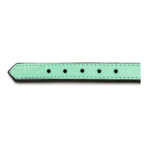 Collier pour Chien Gloria Rembourré Vert (50 x 2,5 cm)