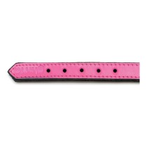 Collier pour Chien Gloria Rembourré Fuchsia (50 x 2,5 cm)