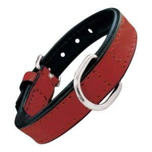 Dog collar Gloria Padded Red (30 x 1,5 cm)