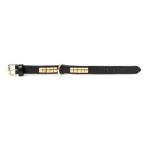 Dog collar Gloria Duna Black Golden (45 x 2.5 cm)