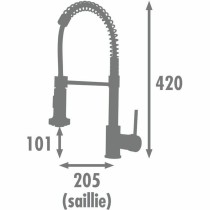 Kitchen Tap Rousseau OPUS Silver