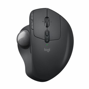 Souris Logitech 910-005179 Noir Gris