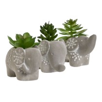 Plante décorative Home ESPRIT Polyéthylène Ciment 8 x 5 x 7 cm (3 Unités)