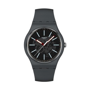 Montre Homme Swatch SO29A101