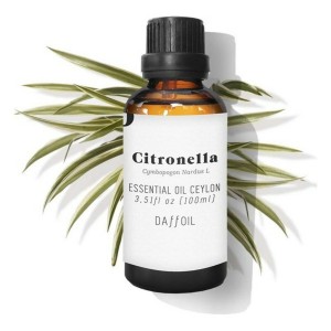 Ätherisches Öl Citronella Daffoil DAFFOIL 100 ml