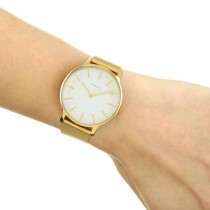 Ladies' Watch Timex TW2T74100 (Ø 38 mm)