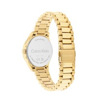 Ladies' Watch Calvin Klein 25200346