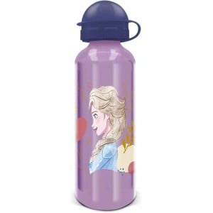 Flasche Frozen Trust The Journey 530 ml Aluminium