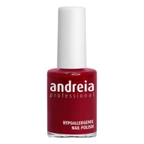 vernis à ongles Andreia Professional Hypoallergenic Nº 117 (14 ml)