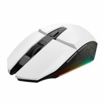 Clavier et Souris Gaming Trust 25233 GXT794W