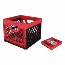 Boîte Multiusage Tontarelli Rouge Carré 33,5 x 33, x 27,9 cm (6 Unités)