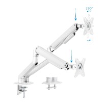 Bildschirm-Träger für den Tisch TooQ DB4132TNR-W 32" 17"-32"