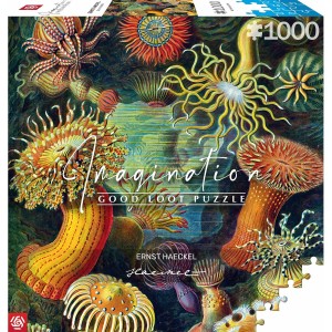 Puzzle Cenega Publishing Ernst Haeckel Criaturas marinas 1000 Pièces