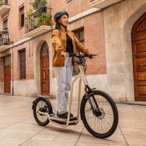 Electric Scooter Cecotec Bicinete Urban 1000 W