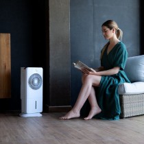 Climatiseur Évaporation Portable Cecotec