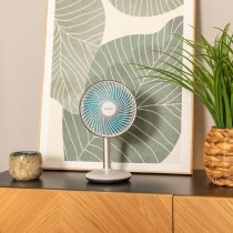 Table Fan Cecotec