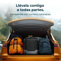 Mini Fridge Cecotec Bolero TravelCooling 33L D