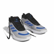 Chaussures de Basket-Ball pour Adultes Adidas Bounce Legends Gris Gris clair