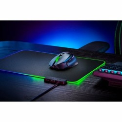 Souris Gaming avec LED Razer RZ01-04870100-R3G1