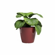 Planter Artevasi SAN REMO Dark Red Ø 36 cm (4 Pieces)