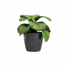 Planter Artevasi SAN REMO Anthracite Ø 30 cm