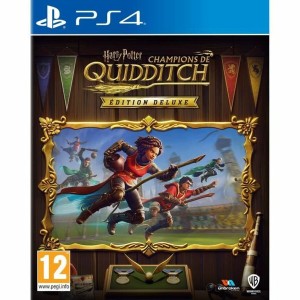 PlayStation 4 Video Game Warner Games Harry Potter: Quidditch Champions