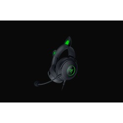 Casques avec Microphone Razer RZ04-04510100-R3M1