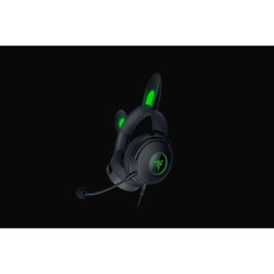 Casques avec Microphone Razer RZ04-04510100-R3M1