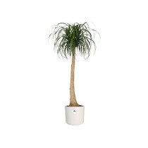 Pot Elho Blanc Vert Plastique 30 x 30 x 28 cm