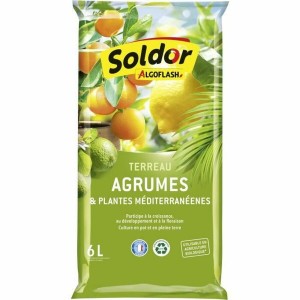 Terreau d'empotage Algoflash TAGRUM6 Agrumes méditerranéen 6 L