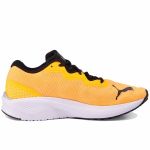 Laufschuhe für Erwachsene Puma Aviator Profoam Sky Orange Herren