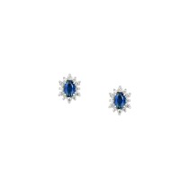 Ladies' Earrings Morellato SAIW152 Stainless steel Steel