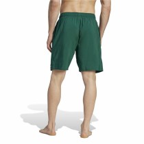 Maillot de bain homme Adidas Sld Clx Vert