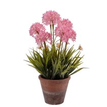 Plante décorative Liège Céramique Plastique 24 x 43 x 24 cm (8 Unités)